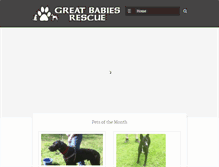 Tablet Screenshot of greatbabiesrescue.org